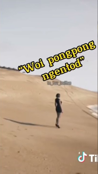 Woi mulut kau pantek