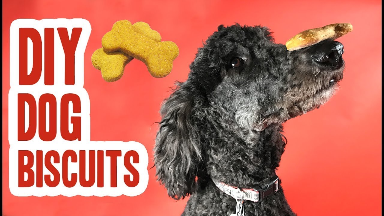 DIY Dog Biscuits