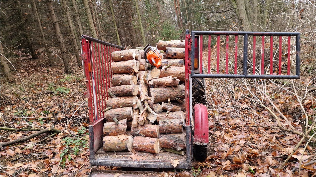 Dobrze że nie mam pompy ciepła !!! Wyjazd do lasu Husqvarna 555 + Oregon DuraCut