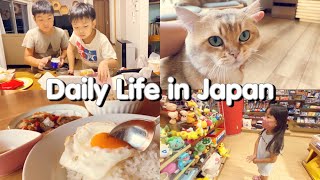 Daily Life in Japan simple life style and cats by Bee Abe 40 views 2 years ago 13 minutes, 22 seconds