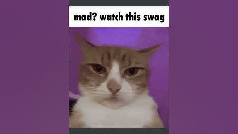 Discord Gifs In A Nutshell Clip 2 (#shorts)