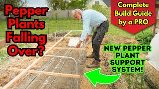 Genius Pepper 'Trellis' Fixes Plants Falling Over, Breaking or Tasting Like Dirt! DIY Build Hack