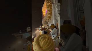 #sangata #aaiyan #wahegurublessings #waheguruji #gurunanakdevji #peacfulllife #faithjourney