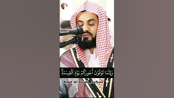 Raad Al kurdi Whatsapp status / رعد الكردي حالات واتس اب / سورة آل عمران رعد الكردي