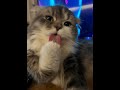 飯食いながら雑談、その後ARK・・・？