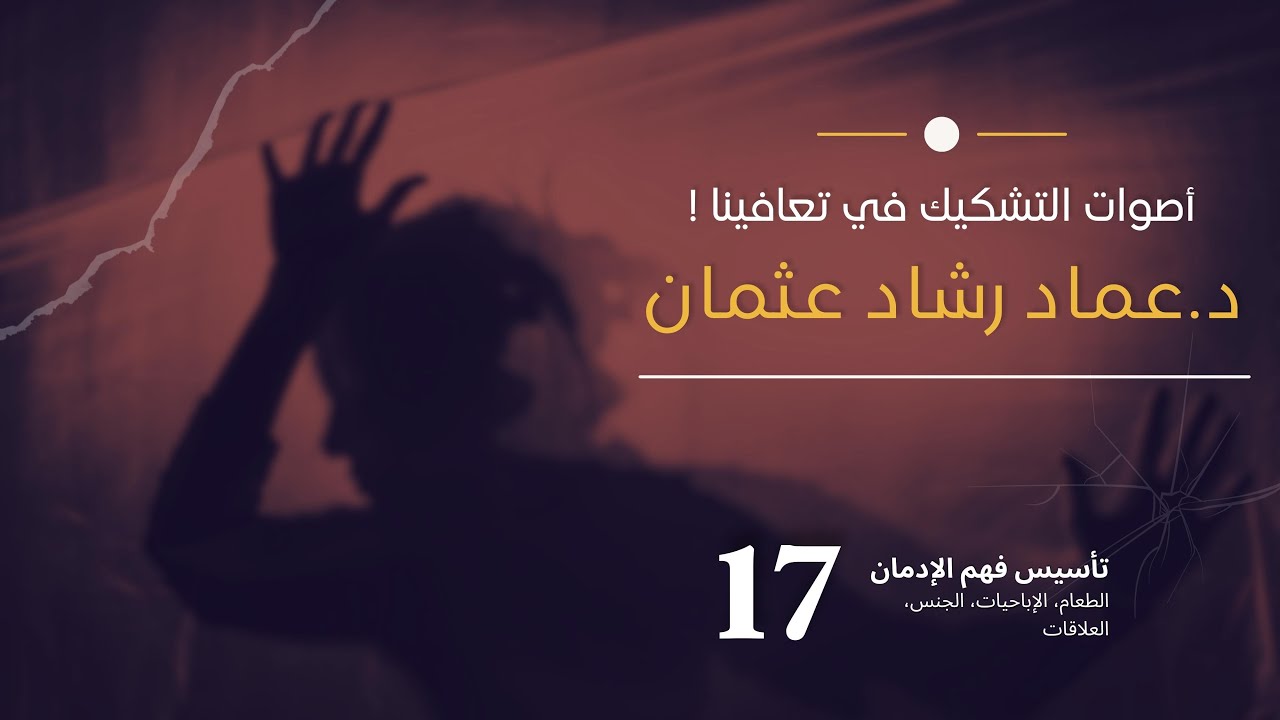 أصوات التشكيك في تعافينا  الداخلية والخارجية ، القاع 2 فهم التعافي ١٧