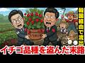 日本のイチゴ株が流出！盗んだ韓国と中国の末路…「とちおとめ」の悲劇と種苗法が発動した日