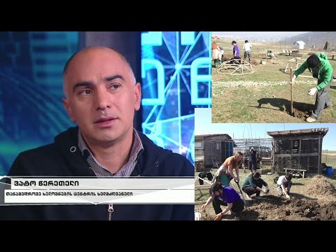 როგორ ეხმარება ბუნება თანამედროვე ხელოვნებას ინდუსტრიული რეალობის კრიზისში