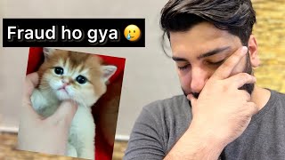 Mere Sath bhi Fraud ho gya  | New Kitten Journey