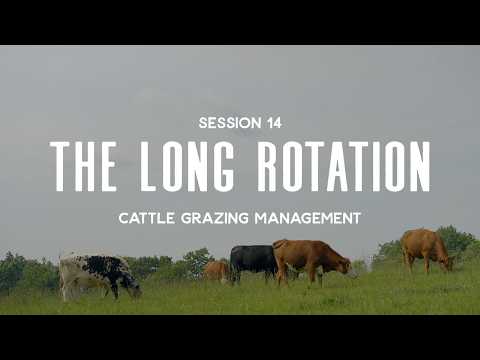 Cattle Grazing Management Session 14: The Long Rotation