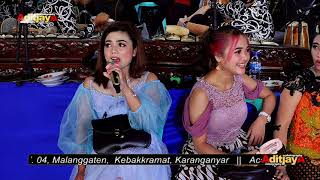 #KMB Suket Teki ( Didi Kempot ) cover Vivi voletha & Putri Kristya || Idris jaya - Aditjaya pictures