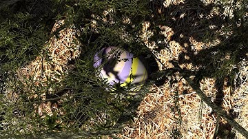 The Talos Principle – Easter Egg In A Nest