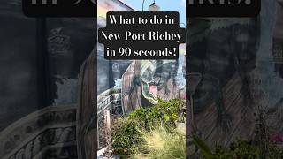 Needing a day trip or weekend idea? See what you can do in New Port Richey,FL! #visitflorida