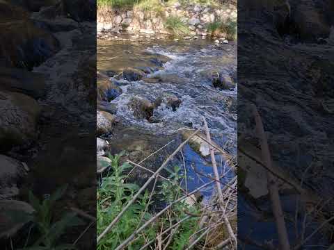 رودخانه تنگ غوره دان شیراز رودخانه شیراز   