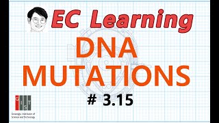3.15 Molecular principles: DNA mutations