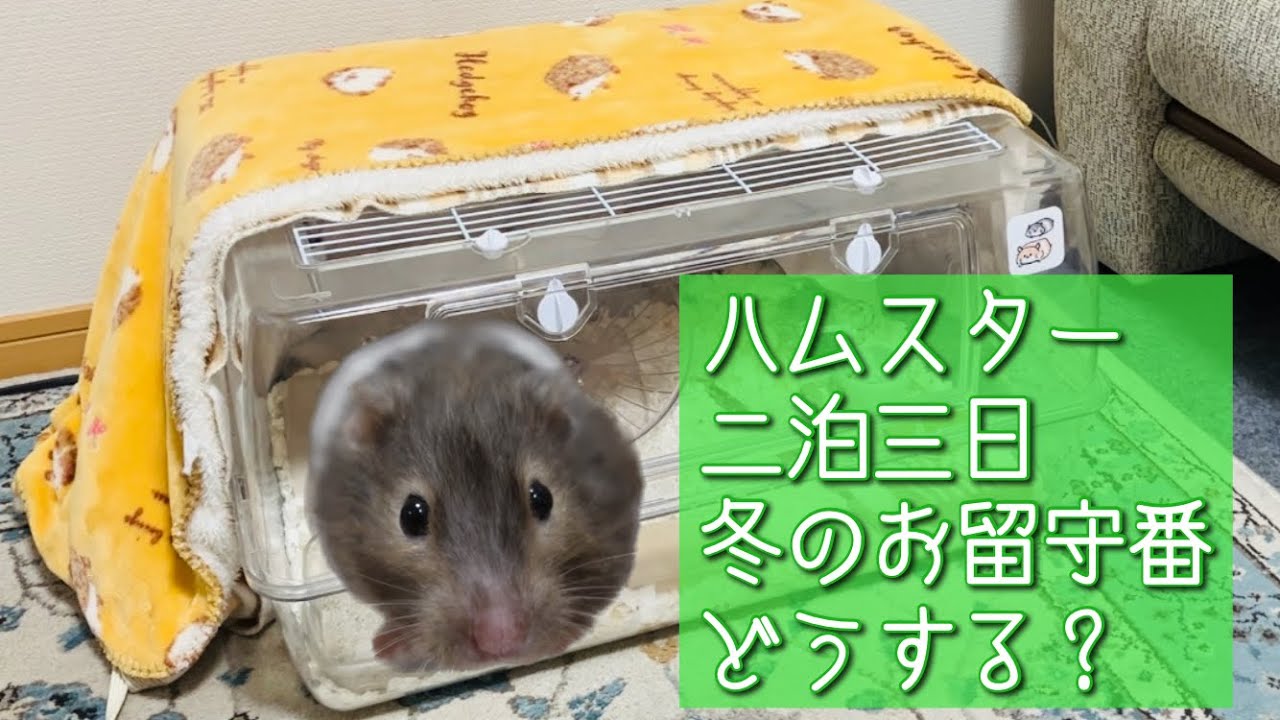 ハムスター 寒さ 対策