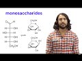 Carbohydrates Uncovered: Exploring Monosaccharides and Their Structures