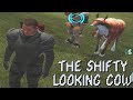 Mass Effect - The Shifty Looking Cow