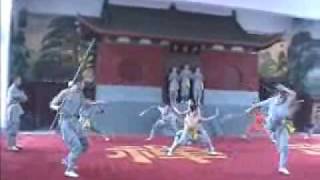 The Shaolin Temple - Part 4: Wushu