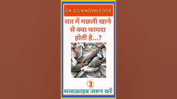 Eating fish at night Gk Question || Gk In Hindi || Gk Question And Answer || Gk Quiz || Ssc || Al...