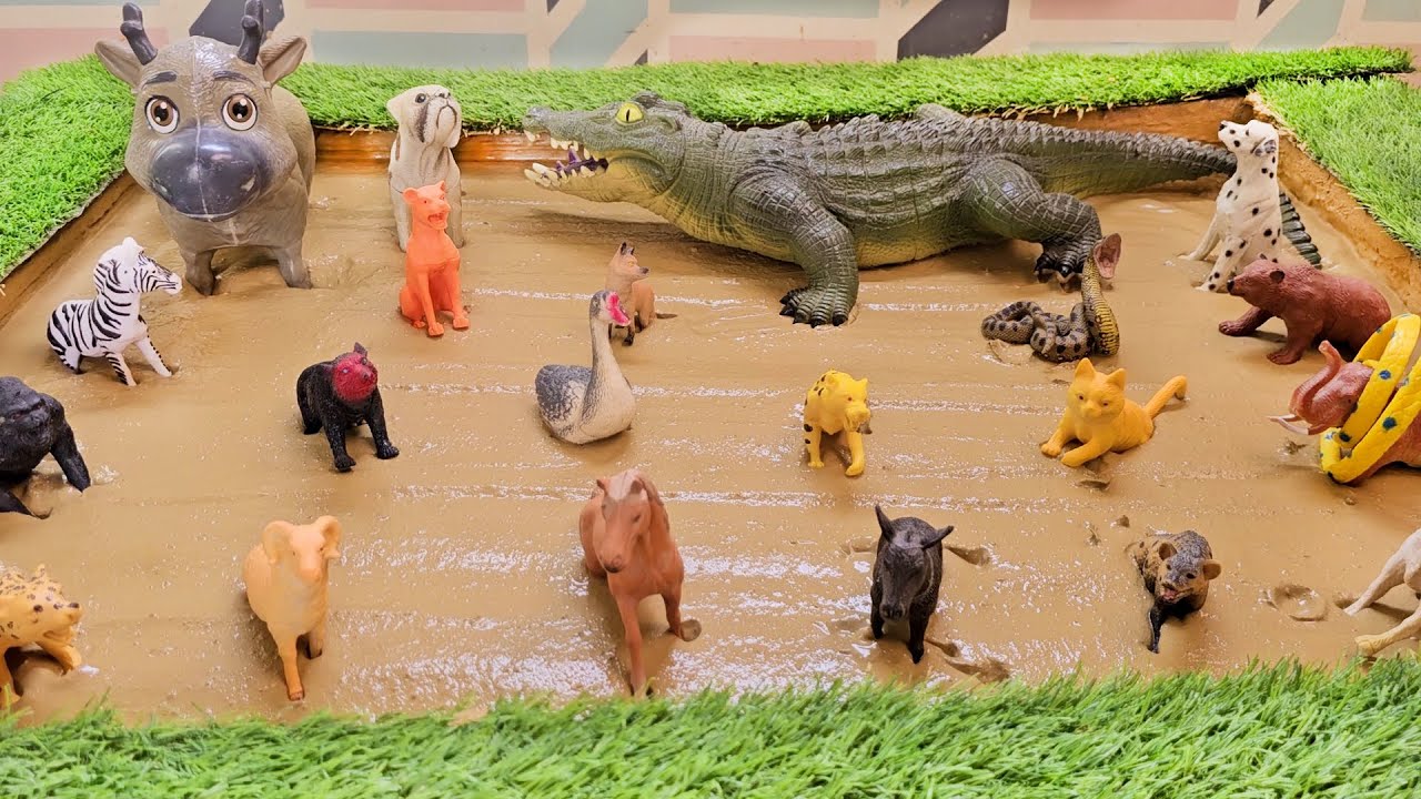 Thrilling Wildlife Encounters: Embracing Wild and Forest Animals Expedition in the Mud