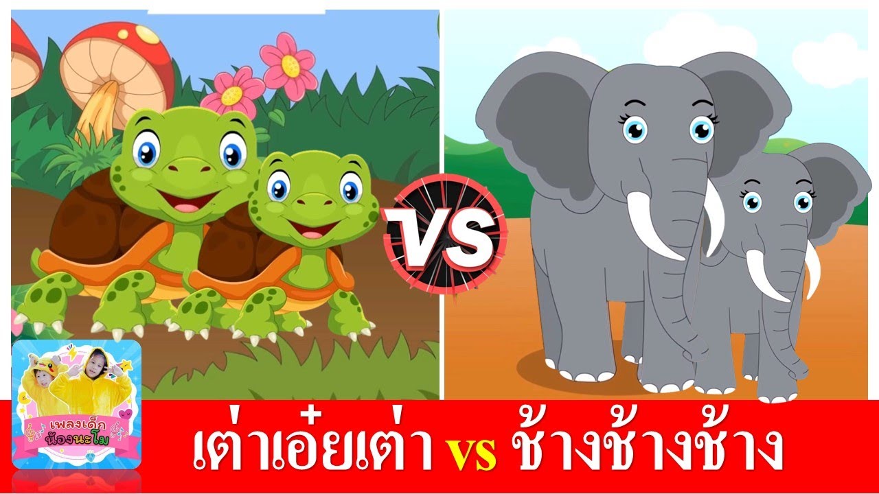 เต่าเอ๋ยเต่า vs ช้างช้างช้าง