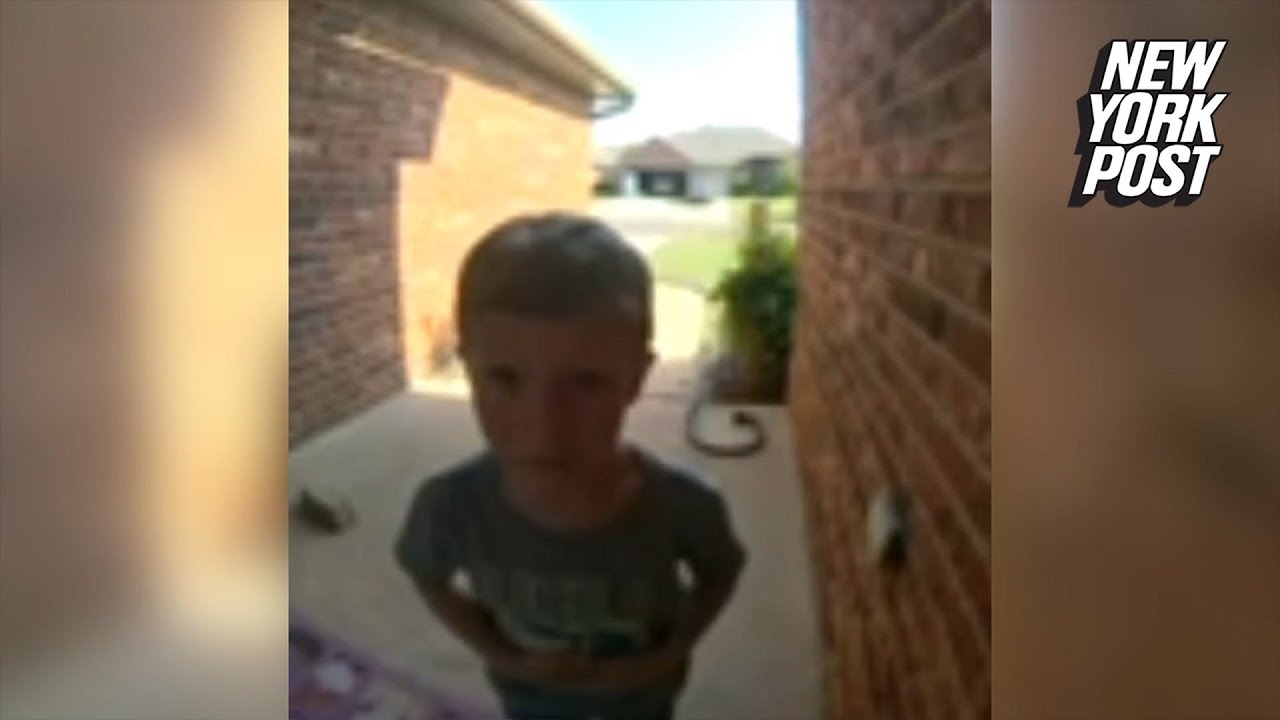 5yearold boy rings doorbell for help after school bus makes wrong