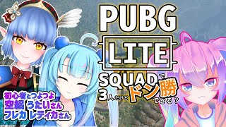 深夜27時に初心者がSQUADでドン勝できる？のサムネイル