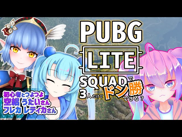 深夜27時に初心者がSQUADでドン勝できる？のサムネイル
