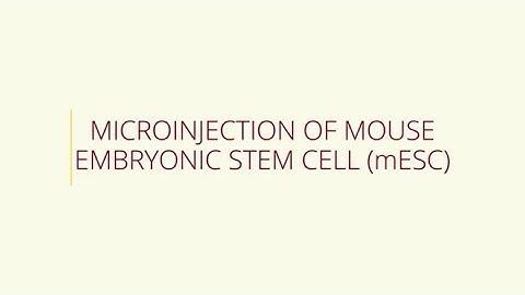 Microinjection of Mouse Embryonic Stem Cell (mESC)