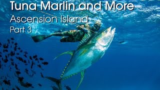 Spearfishing Ascension Island - Tuna, Marlin and More - PART 3 HD