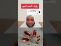 رؤية الصراصير بالمنام