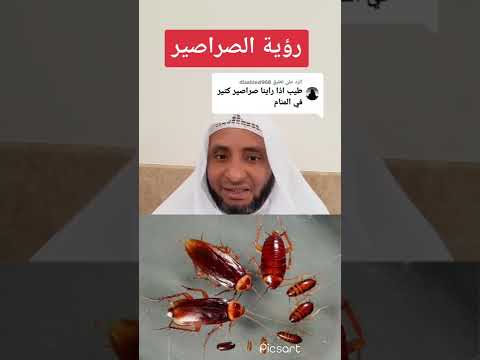 رؤية الصراصير بالمنام
