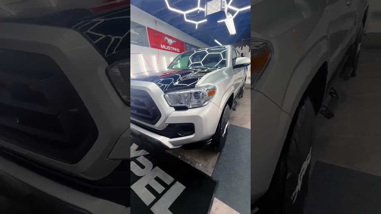 XPEL Black PPF /  ROS Group 