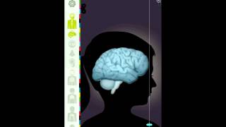 App Review :: The Human Body by Tinybop screenshot 2