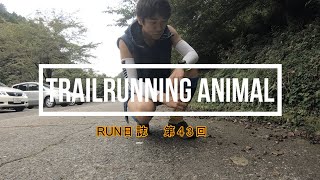 RUN日誌 第43回　鹿との遭遇　大山　登山　トレラン　 2020年9月9日