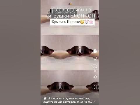 Плов: отзывы на игрушки БЛОП ТОП #БЛОПТОП 🗿👍 - YouTube