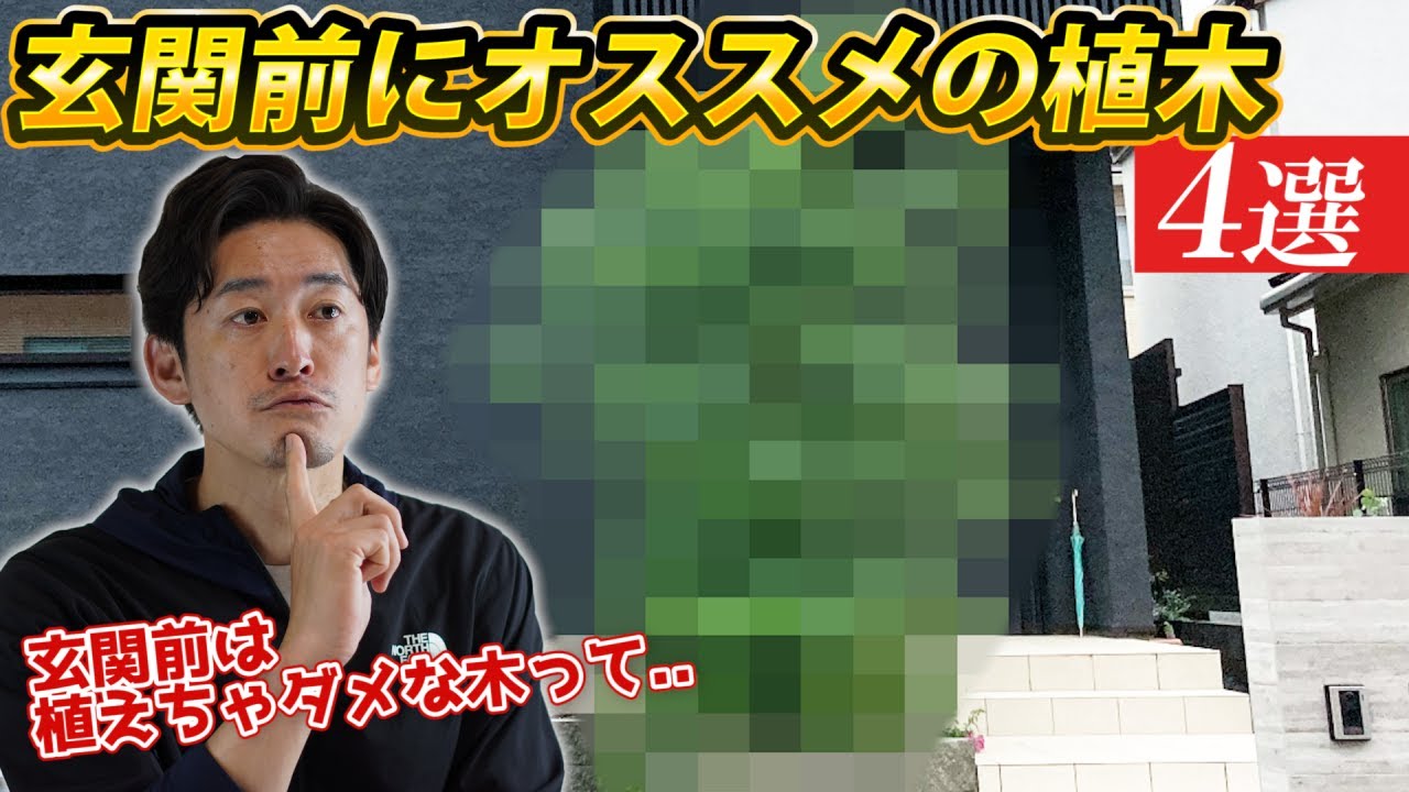【逆に玄関前に植えたらダメな木って？】玄関前の植木の選び方教えます。