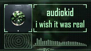 audiokid - i wish it was real 「 Bonafide Vol.5 | Scan Records 」