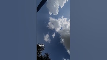 ﴿ قَالَا رَبَّنَا إِنَّنَا نَخَافُ أَن يَفْرُطَ عَلَيْنَا﴾[ طه: 45] القارئ: عبد الرحمن مسعد .