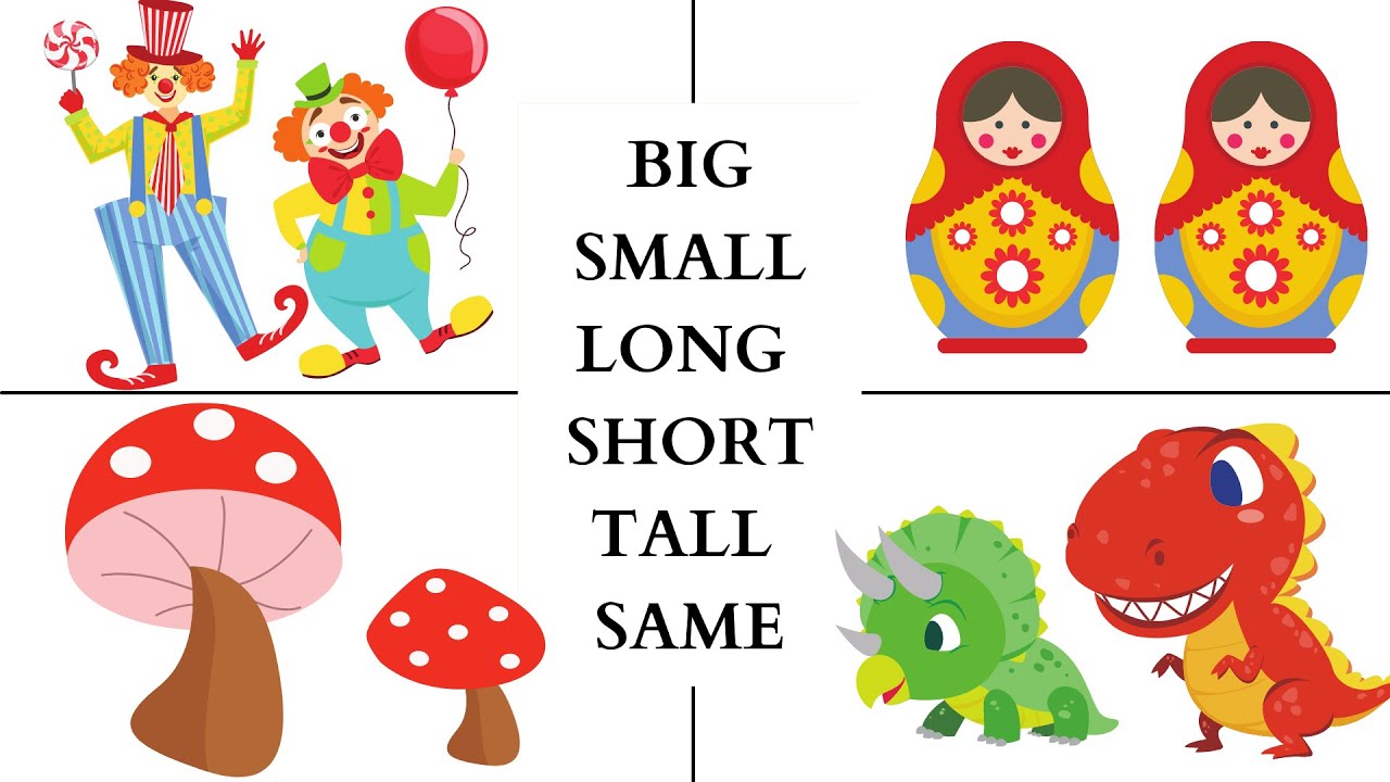 Small big com. Big Medium small. Short and Tall animals.