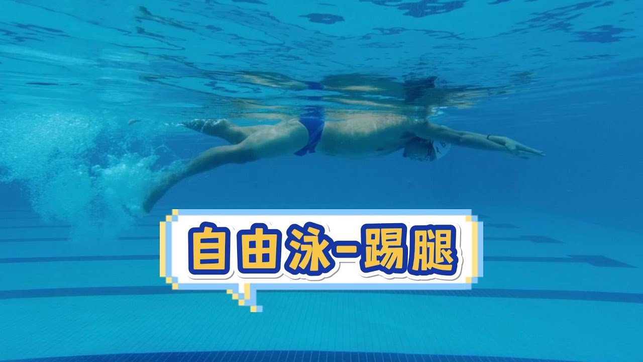 自由泳入门和训练的基础，自由泳腿（上）原理