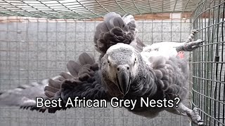 Parrots 101 - How to Breed African Grey Birds / Nest boxes and Nesting Substrate screenshot 5