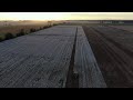 Drone footage of a cotton harvest!