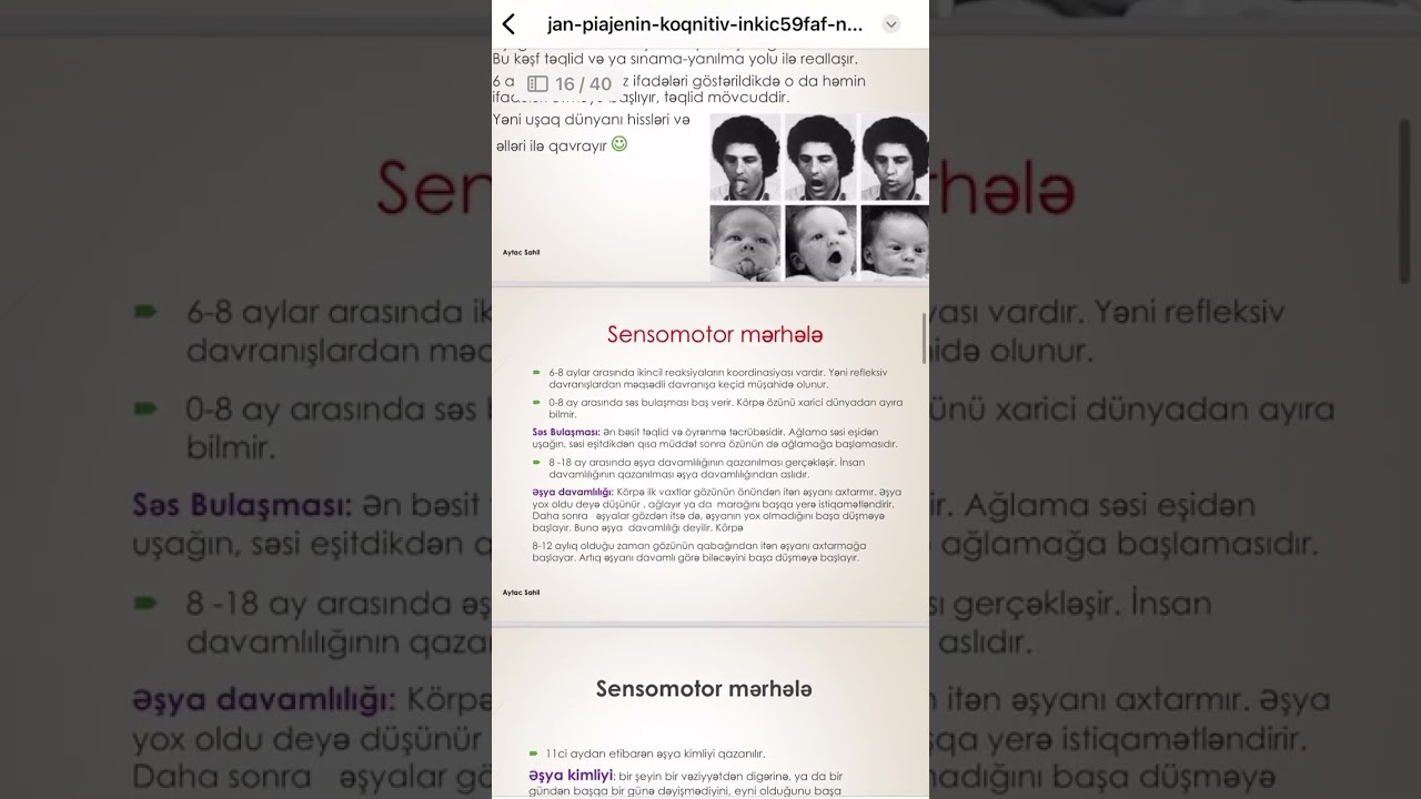 Jan piaje. Koqnitiv inkişaf nəzəriyyəsi #nəzəriyyələr #piaje #koqnitivnəzəriyyə #zehninkişafnəzəriyə