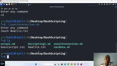 Bash Script Lesson 5: Users input, How to use read command in kali linux to create users interaction