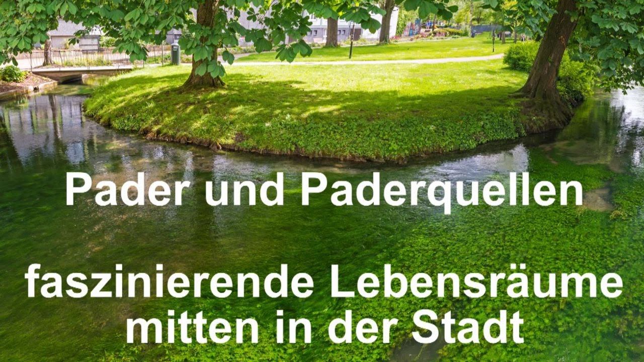 Pader und Paderquellen