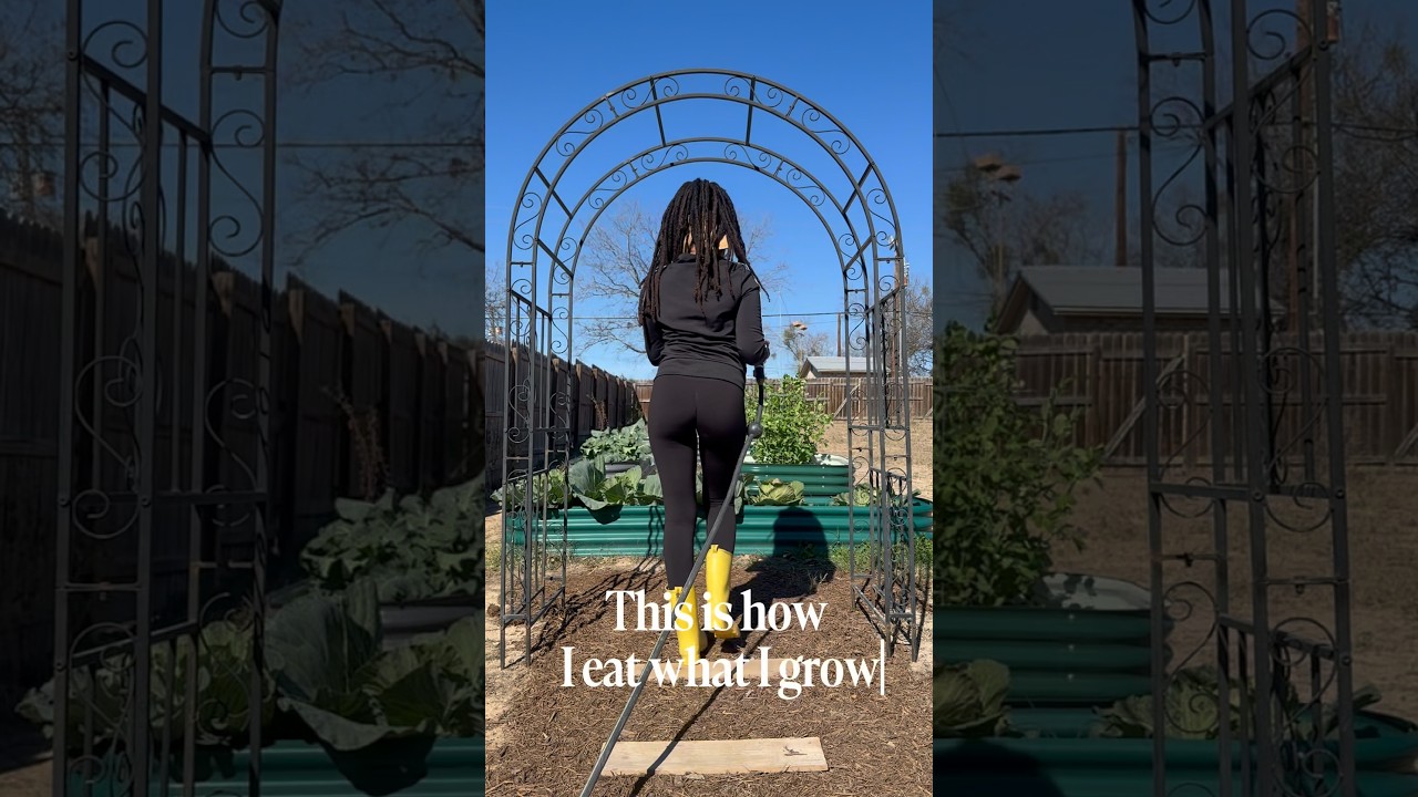 This is how I eat what I grow🥬