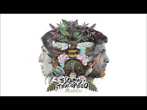 在 YouTube 上观看 Espumas y Terciopelo - Cielos (Audio)