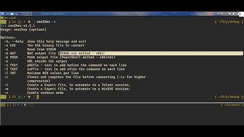 Debug exe - Build from hex